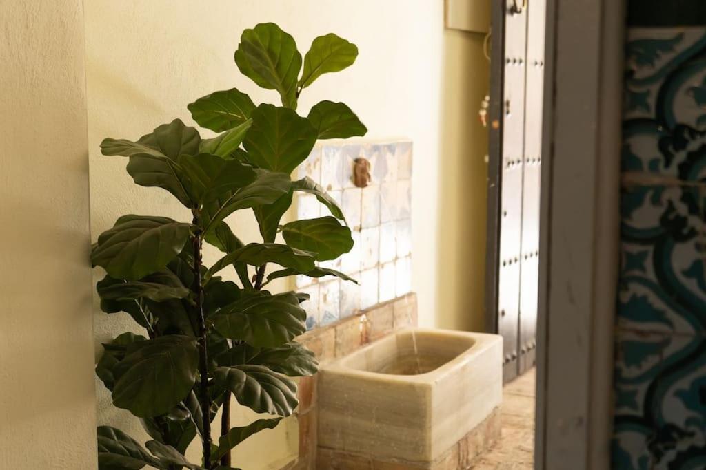 Nueva Casa Boutique En El Centro De Sevilla Eksteriør billede